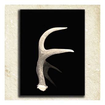 ''Antler'' Alphabet Wall Art