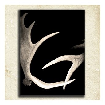''Antler'' Alphabet Wall Art