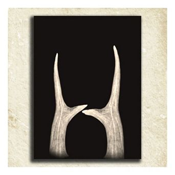 ''Antler'' Alphabet Wall Art