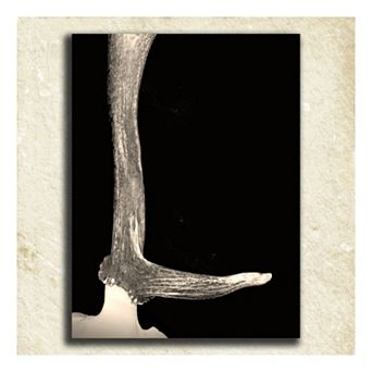 ''Antler'' Alphabet Wall Art