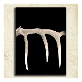 ''Antler'' Alphabet Wall Art