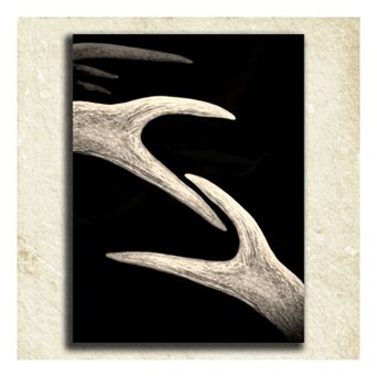 ''Antler'' Alphabet Wall Art