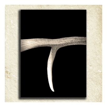 ''Antler'' Alphabet Wall Art