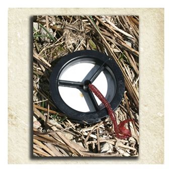 ''Fishing'' Alphabet Wall Art