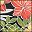 Aloha Black