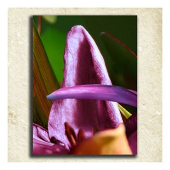 ''Flower'' Alphabet Wall Art