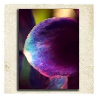 ''Flower'' Alphabet Wall Art