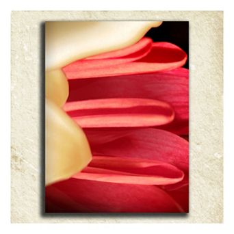 ''Flower'' Alphabet Wall Art
