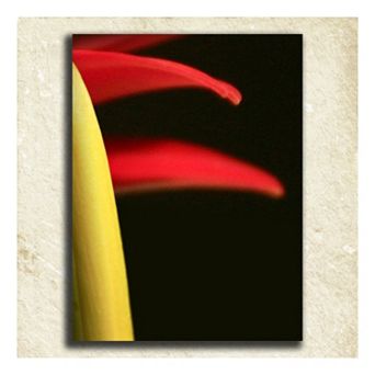 ''Flower'' Alphabet Wall Art