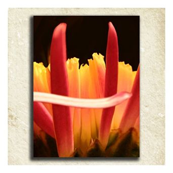 ''Flower'' Alphabet Wall Art
