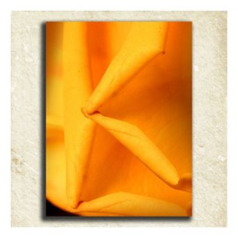 ''Flower'' Alphabet Wall Art