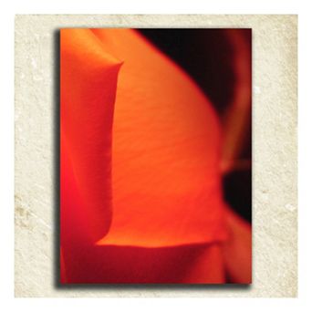 ''Flower'' Alphabet Wall Art