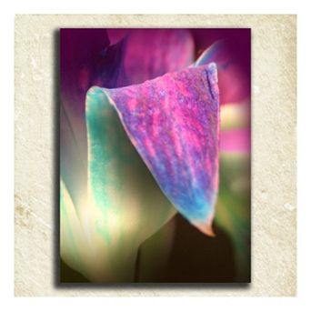 ''Flower'' Alphabet Wall Art