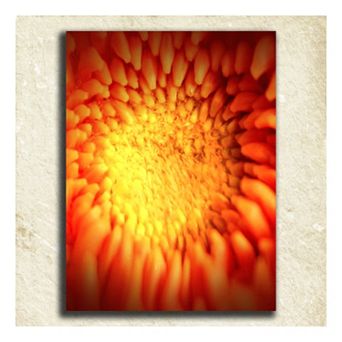 ''Flower'' Alphabet Wall Art