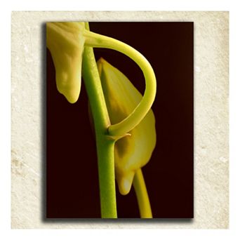 ''Flower'' Alphabet Wall Art