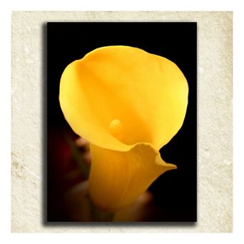 ''Flower'' Alphabet Wall Art