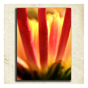 ''Flower'' Alphabet Wall Art