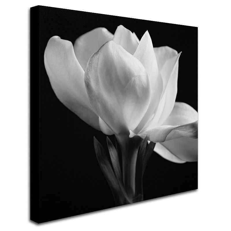 Trademark Fine Art Gardenia Canvas Wall Art, Multicolor, 35X35