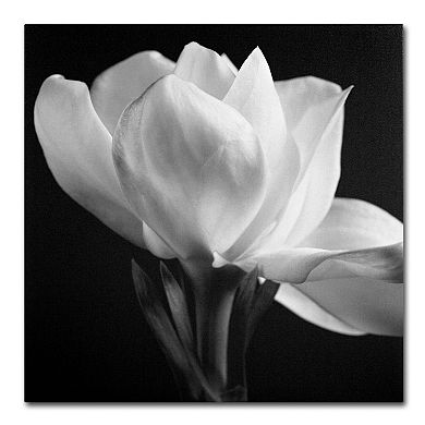 Trademark Fine Art "Gardenia" Canvas Wall Art