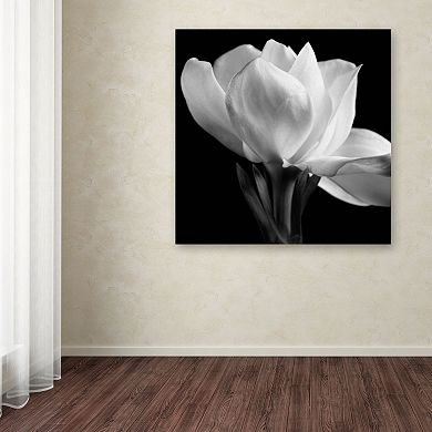 Trademark Fine Art "Gardenia" Canvas Wall Art