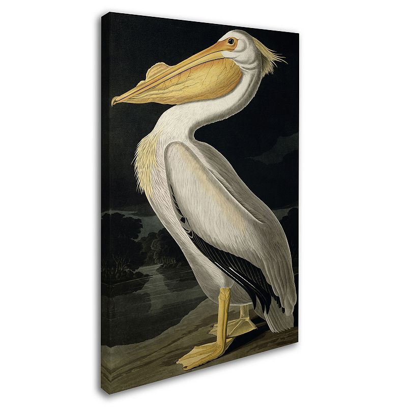 American White Pelican Canvas Wall Art, Multicolor, 22 X 32