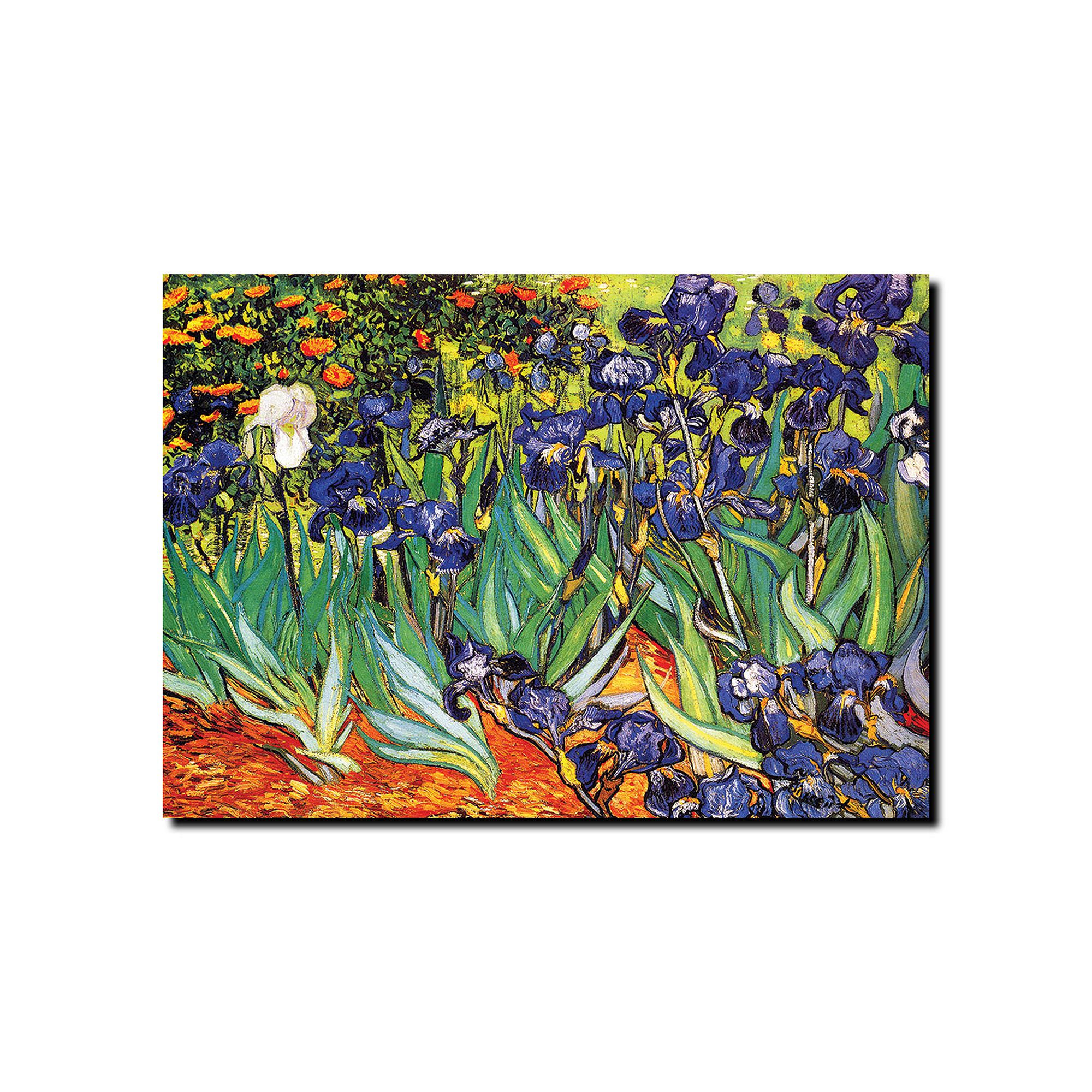 Irises at Saint-Remy Canvas Wall Art by Vincent van Gogh, Multicolor