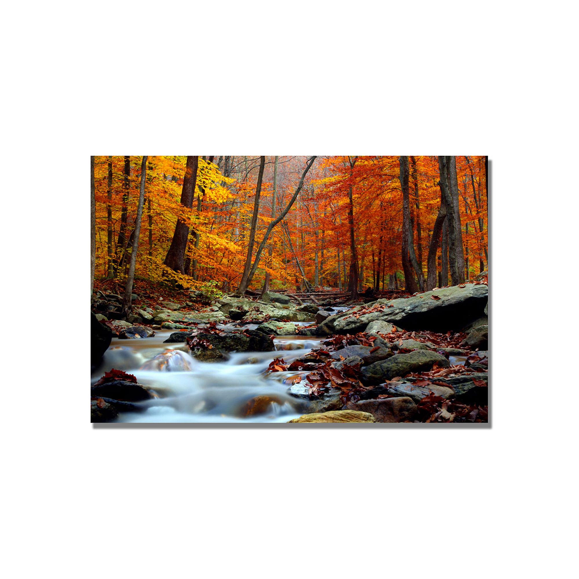 Ultimate Truth Canvas Wall Art, Multicolor