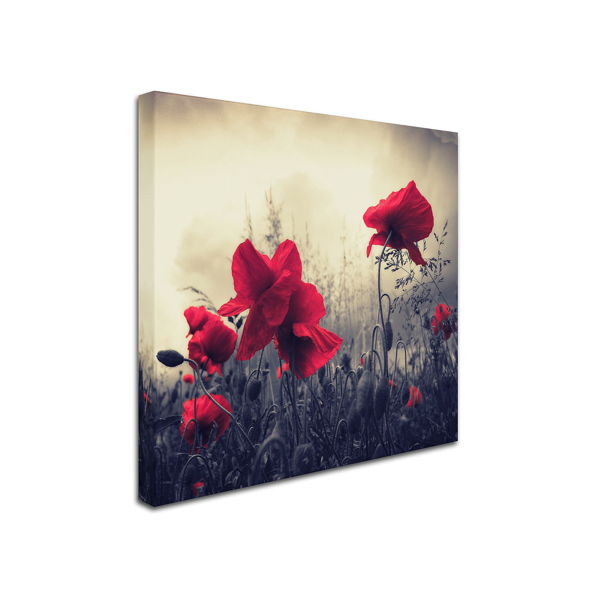 Red for Love Canvas Wall Art, Multicolor