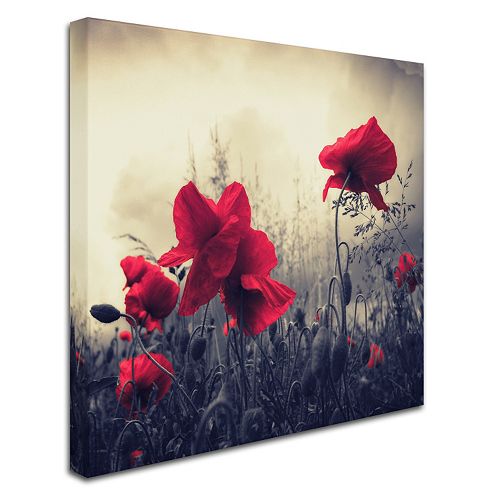 Red for Love Canvas Wall Art