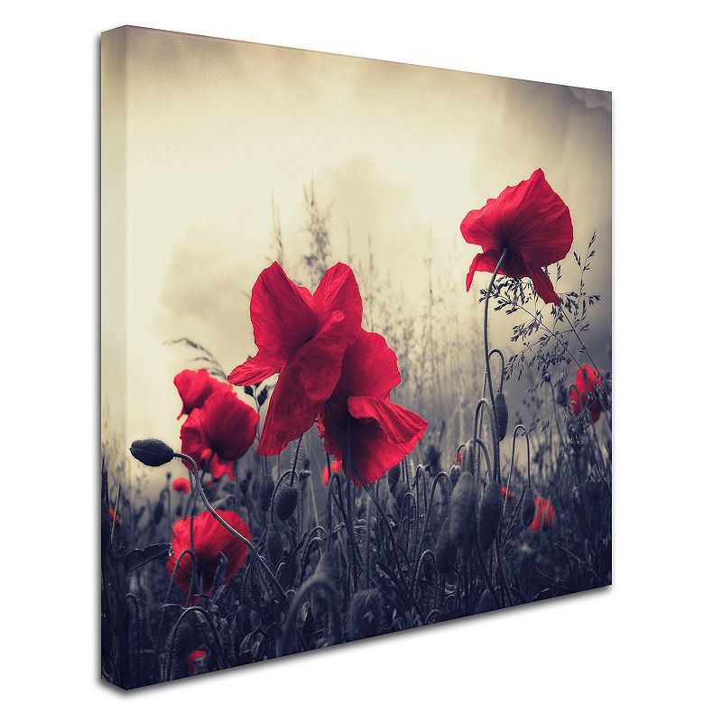 Red for Love Canvas Wall Art, Multicolor, 35X35