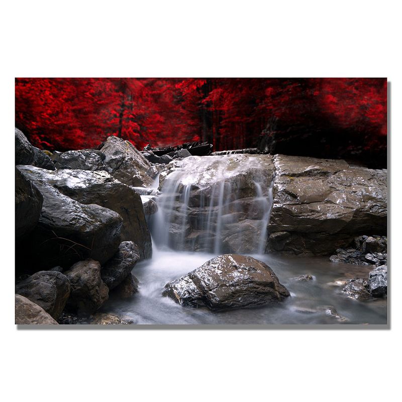 Red Vision Canvas Wall Art, Multicolor, 35X47