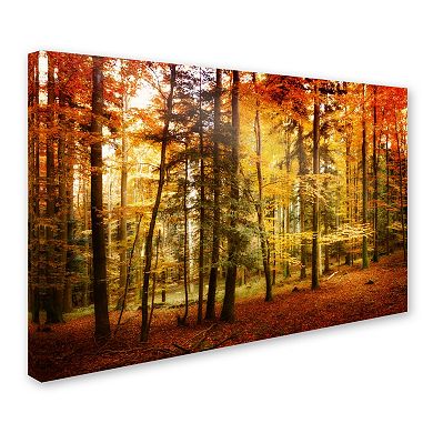 ''Brilliant Fall Color'' Canvas Wall Art