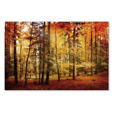 ''Brilliant Fall Color'' Canvas Wall Art