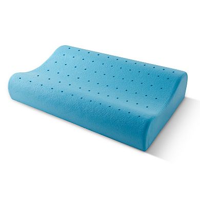 Arctic Sleep by Pure Rest Cool-Blue Memory Foam Contour Pillow - Standard