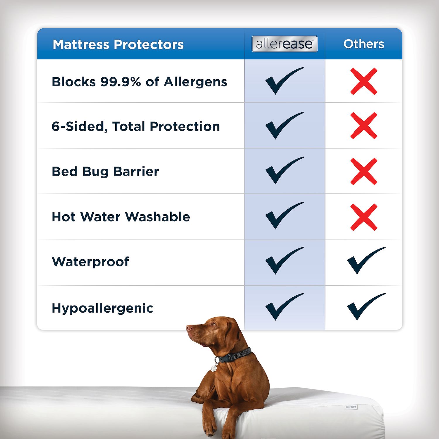 Allerease Maximum Bedbug & Allergy Protection Mattress Protector