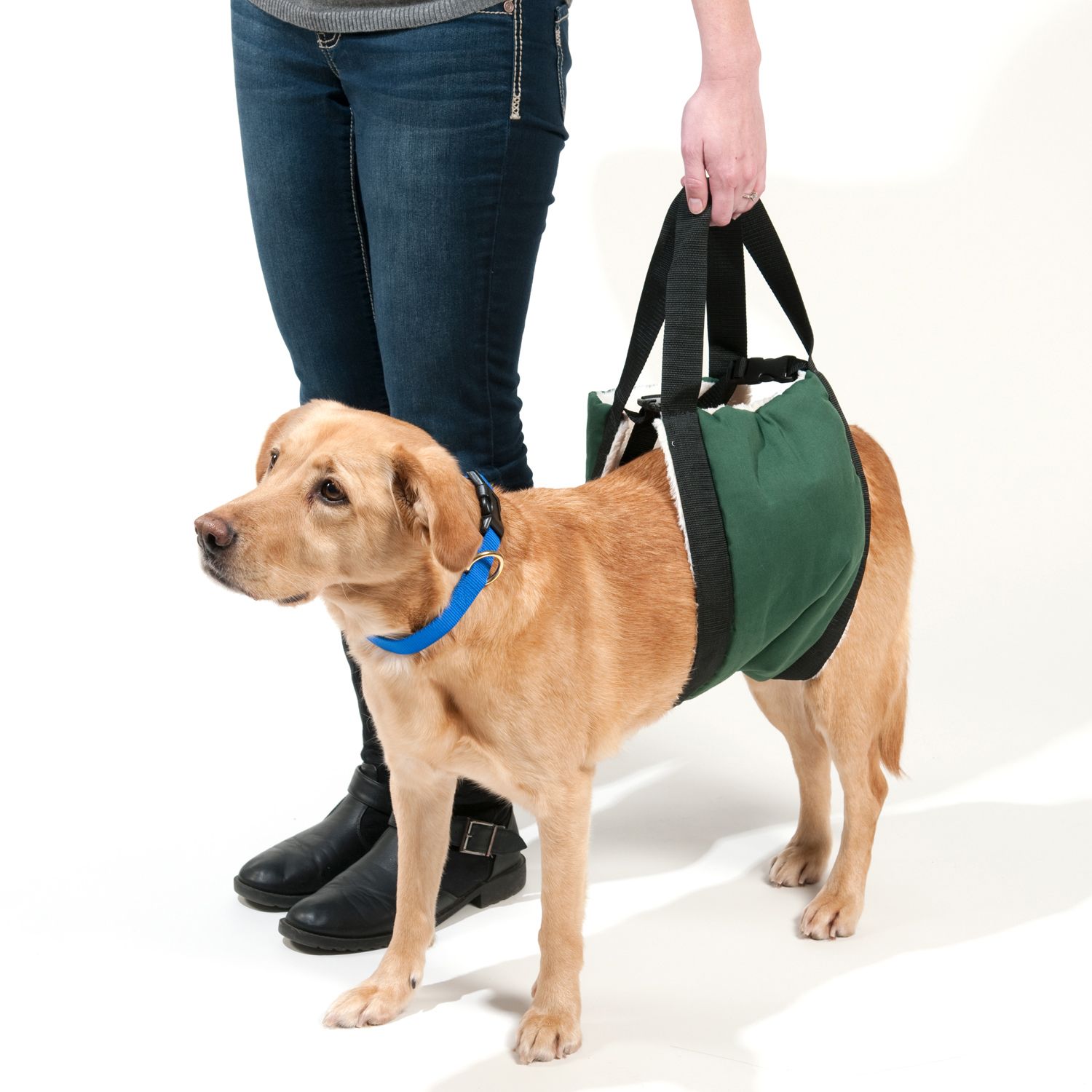 kohls pet carrier