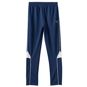 Boys 8-20 PUMA Soccer Pants