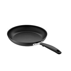 Oster Sato 10 Inch Aluminum Frying Pan in Metallic Champagne - Non-Stick  Skillet in the Cooking Pans & Skillets department at