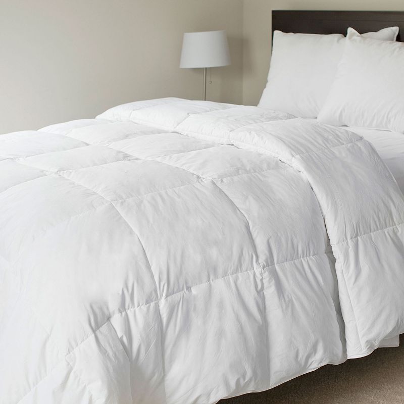 Portsmouth Home Solid Down Comforter, White, Full/Queen