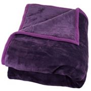 Portsmouth Home Solid Plush Faux-Mink Blanket - Twin