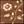 Brown Multi