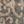 Gray Beige
