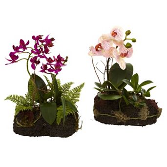 nearly natural 2 pc Orchid Island Flower Set