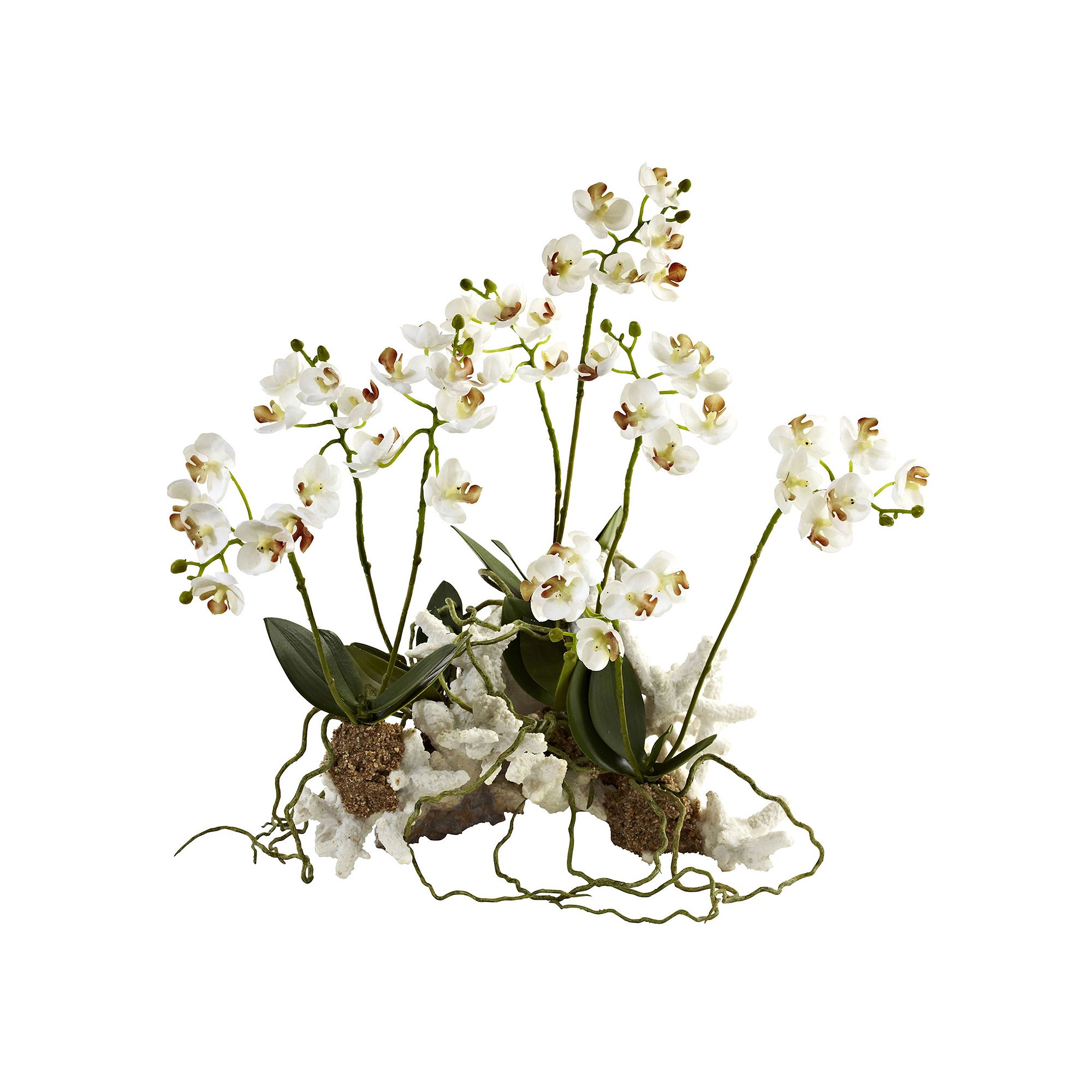 nearly natural Mini Phalaenopsis Coral Planter, White