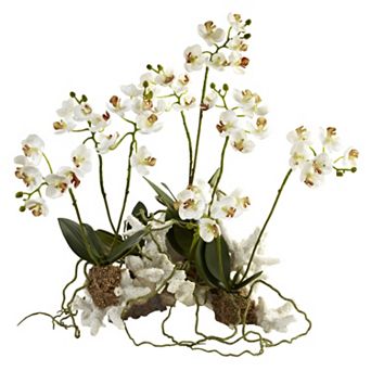 nearly natural Mini Phalaenopsis Coral Planter