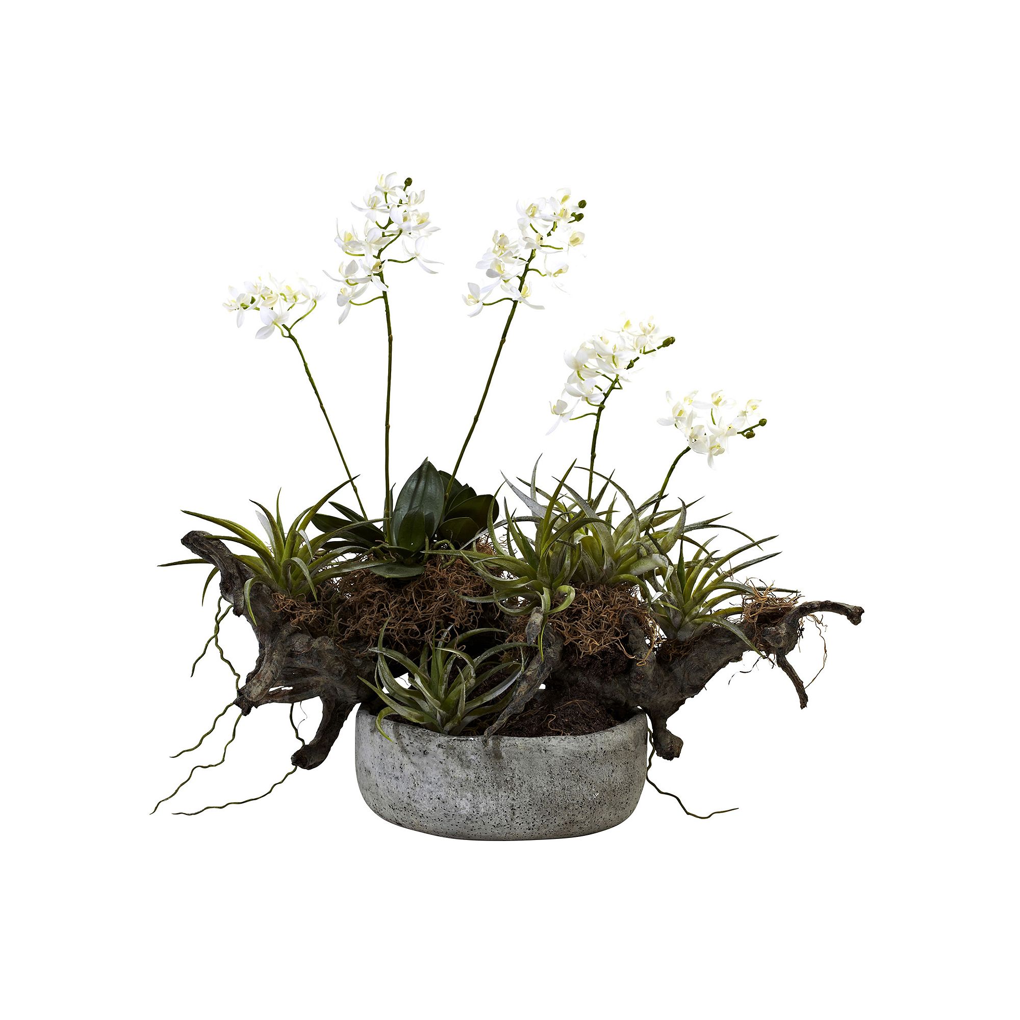 nearly natural Orchid & Succulent Garden Driftwood Decorative Arrangement, 