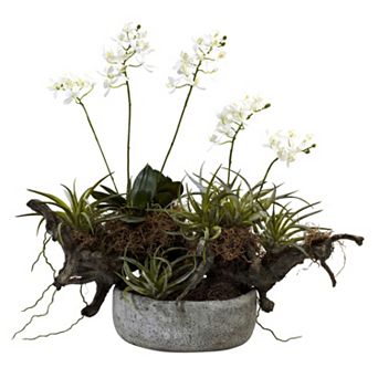 nearly natural Orchid & Succulent Garden Driftwood Decorative Arrangement