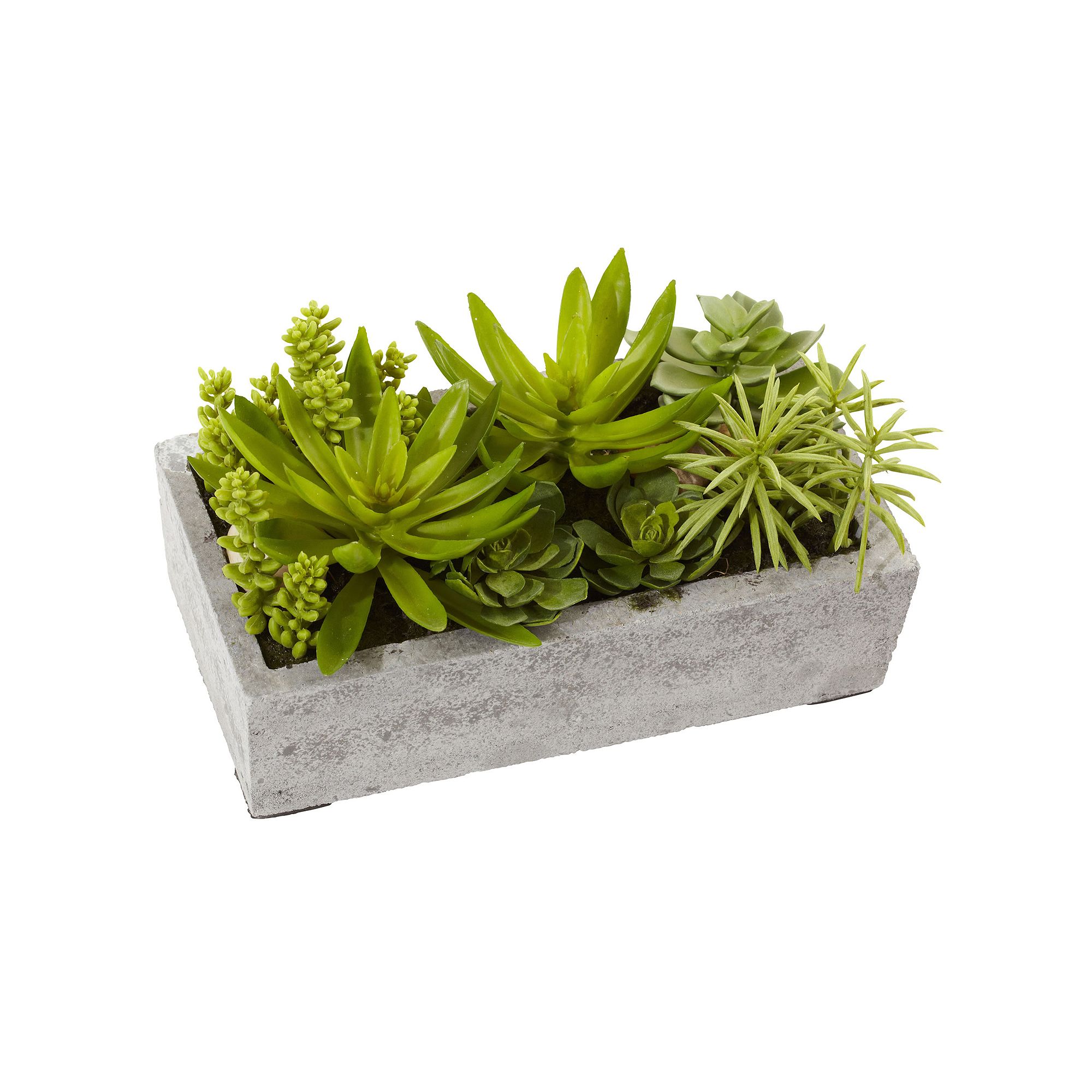 nearly natural Succulent Garden Concrete Planter Arrangement, Multicolor