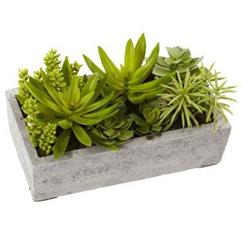 nearly natural Succulent Garden Concrete Planter Arrangement
