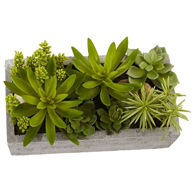 nearly natural Succulent Garden Concrete Planter Arrangement